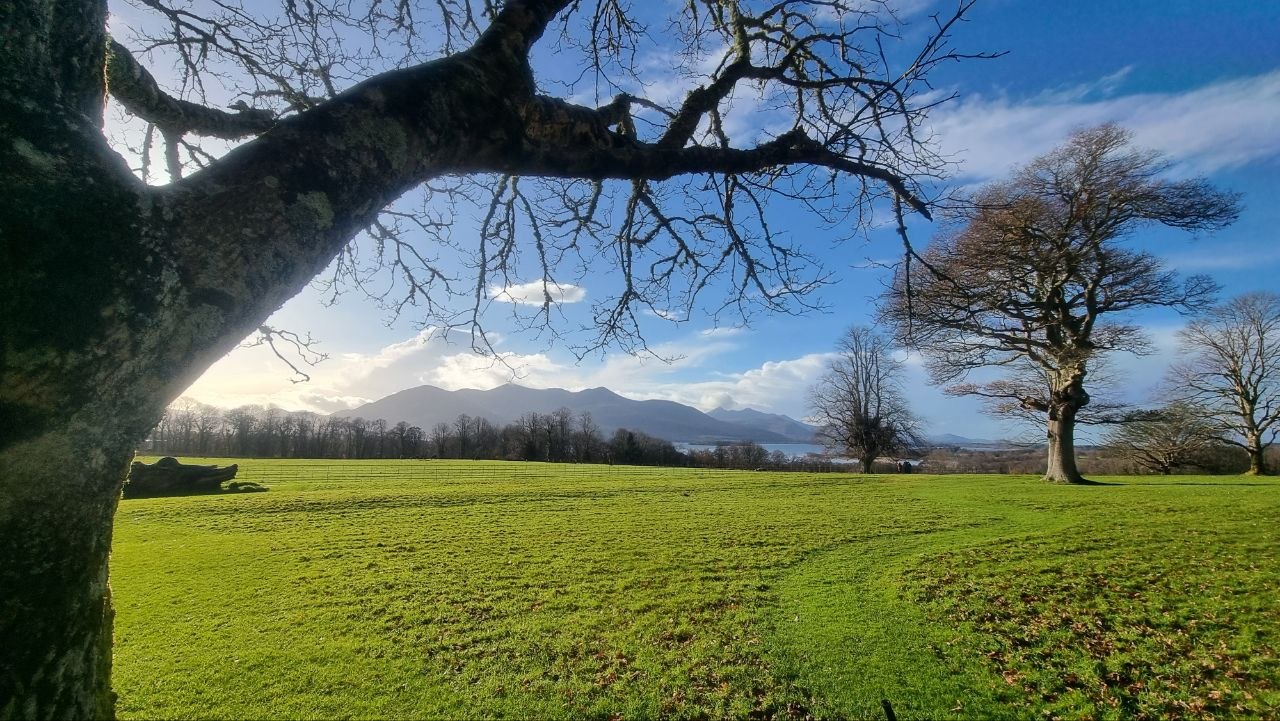 Killarney National Park, County Kerry, Ireland